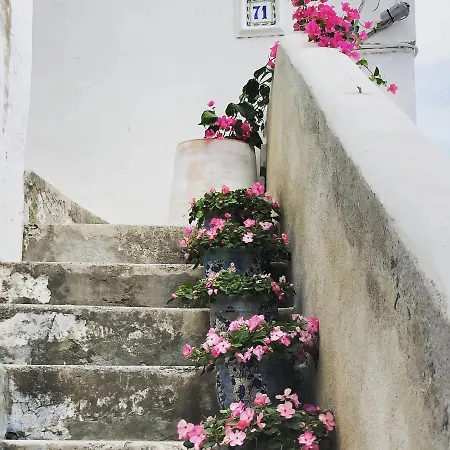 La Baia Di Napoli Apartament *
